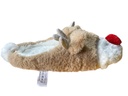 PANTUFLA RENO