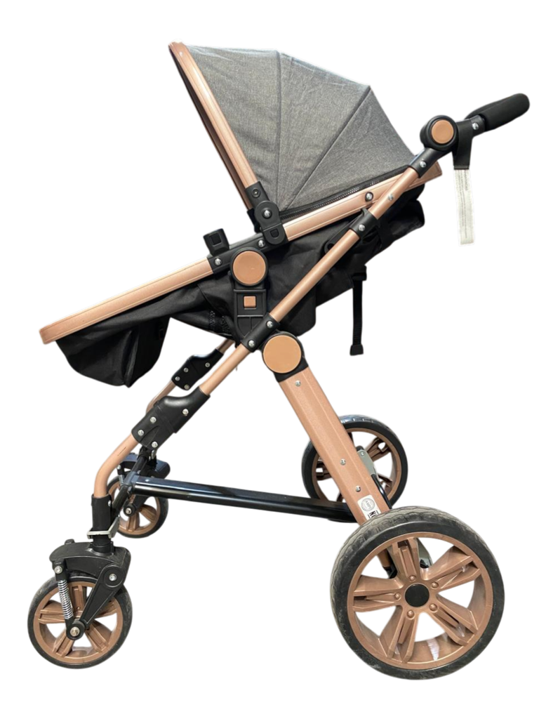 CARRIOLA SYSTEM ALLIZE ALIMINIO