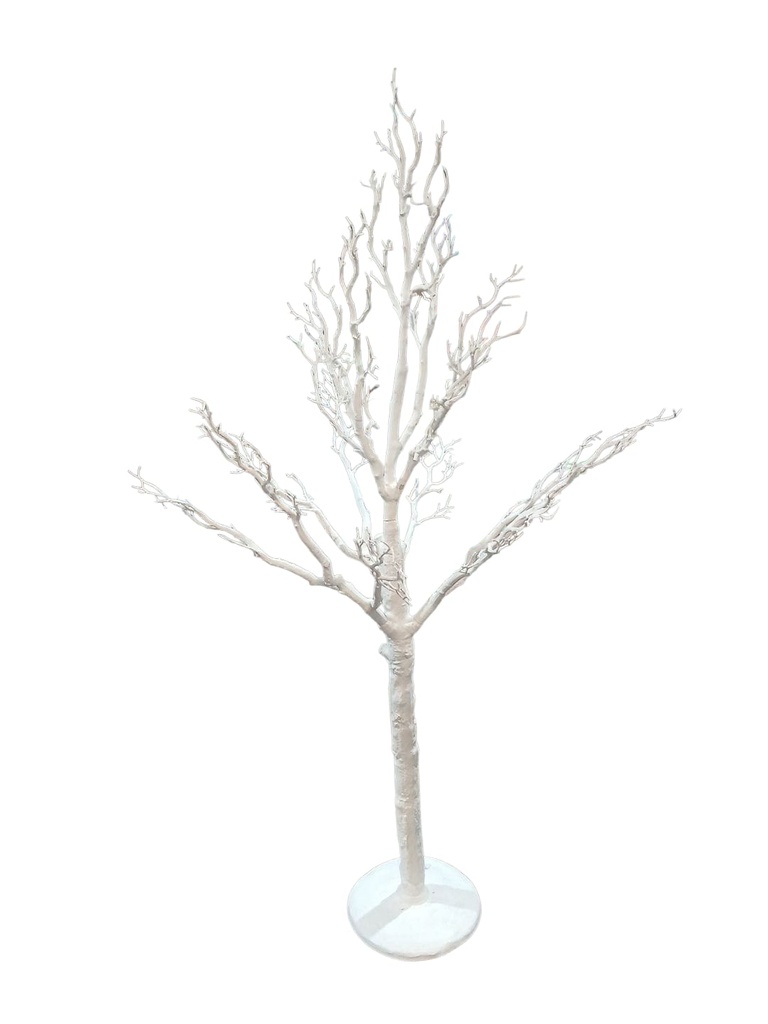 ARBOL SIN ESPECIE BLANCO