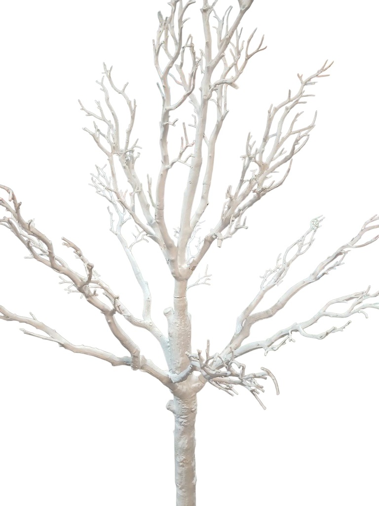 ARBOL SIN ESPECIE BLANCO