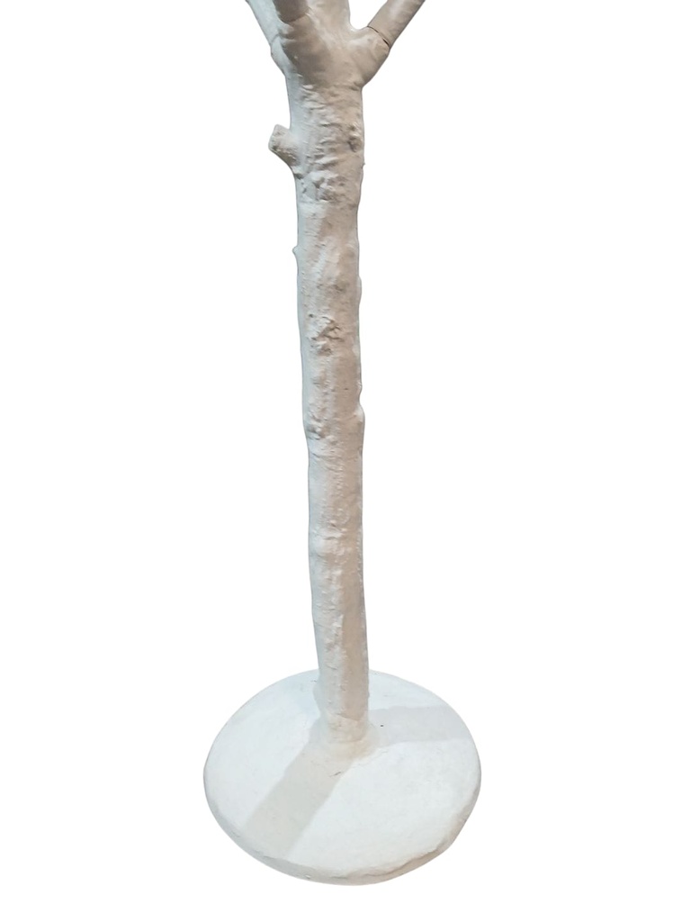 ARBOL SIN ESPECIE BLANCO