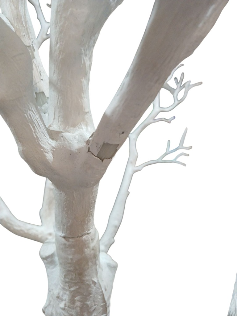 ARBOL SIN ESPECIE BLANCO