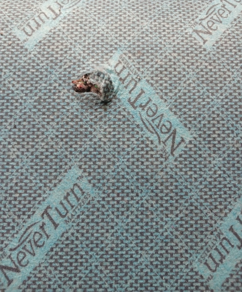 COLCHON SPRING AIR CO MAT GRIS CLARO 