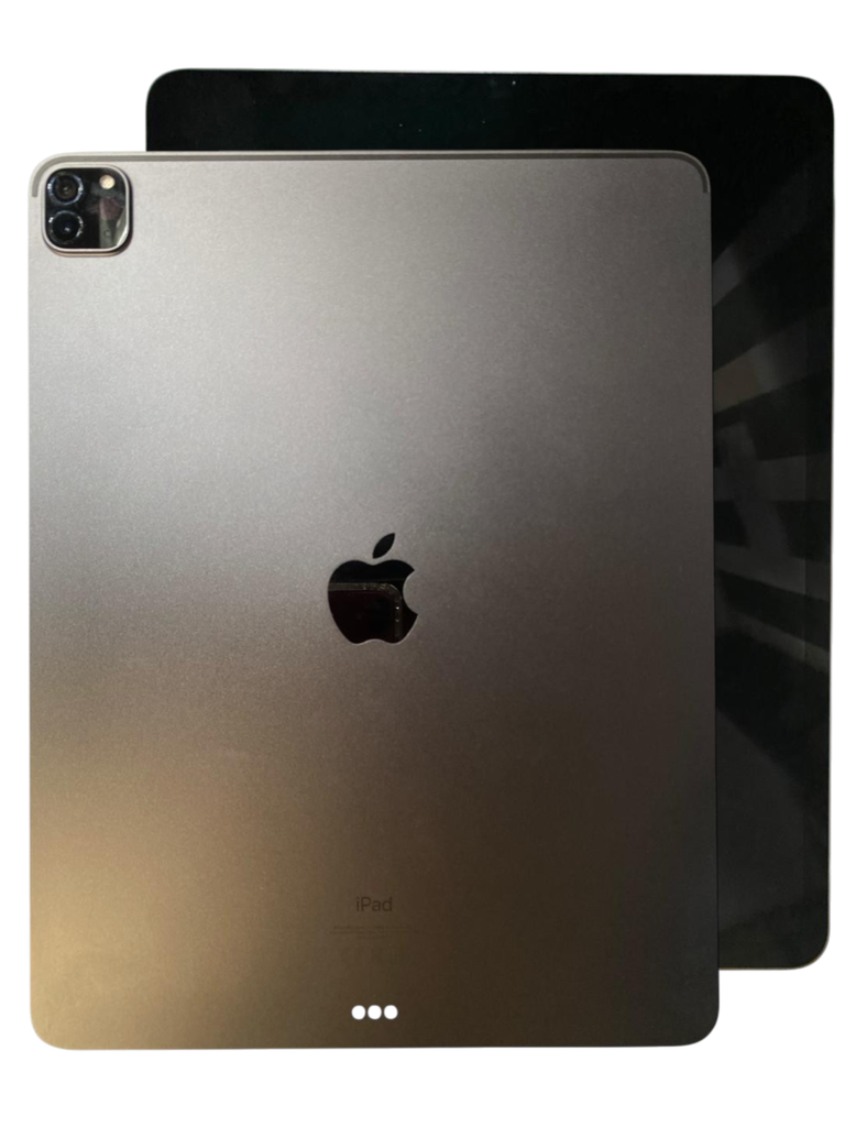 IPAD PRO 12.9" GRIS