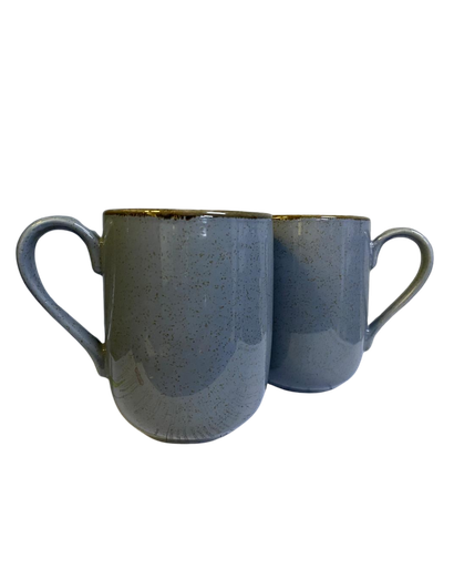 [SC09042025C2] SET DE 2 TARROS