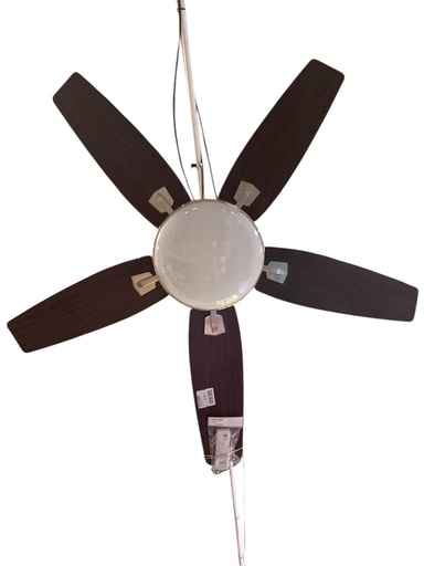 [LI26062025L1] VENTILADOR DE TECHO CON CONTROL